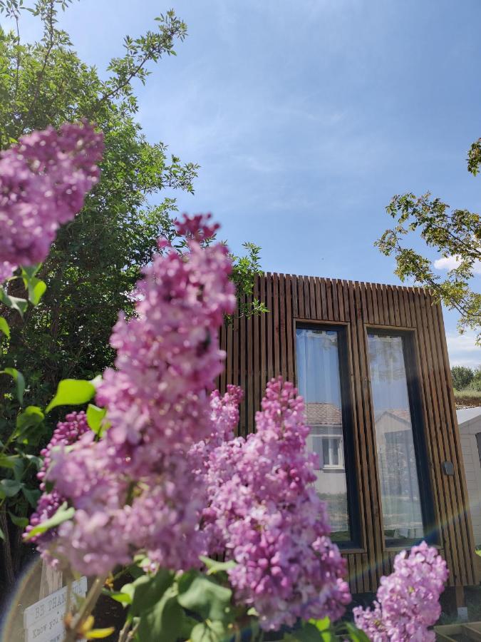 La Cabane De Lili Prune Goudargues Zewnętrze zdjęcie